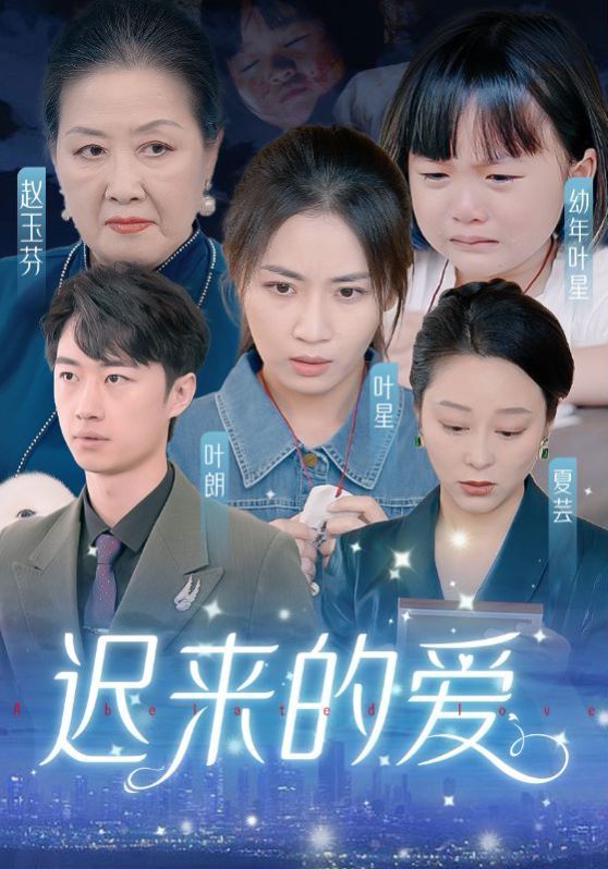 迟来的爱（天上的星星不说话）海报