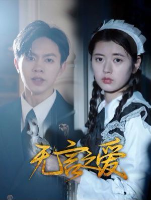 无言之爱海报