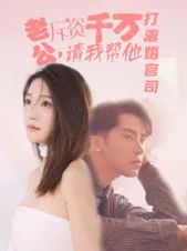 老公拆资千万请我帮他打离婚官司海报