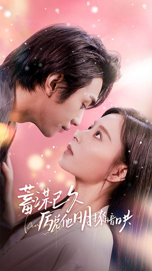 蓄谋已久历总他明撩暗哄（历总夫人她又跑了）海报