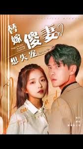 替嫁傻妻想失宠海报