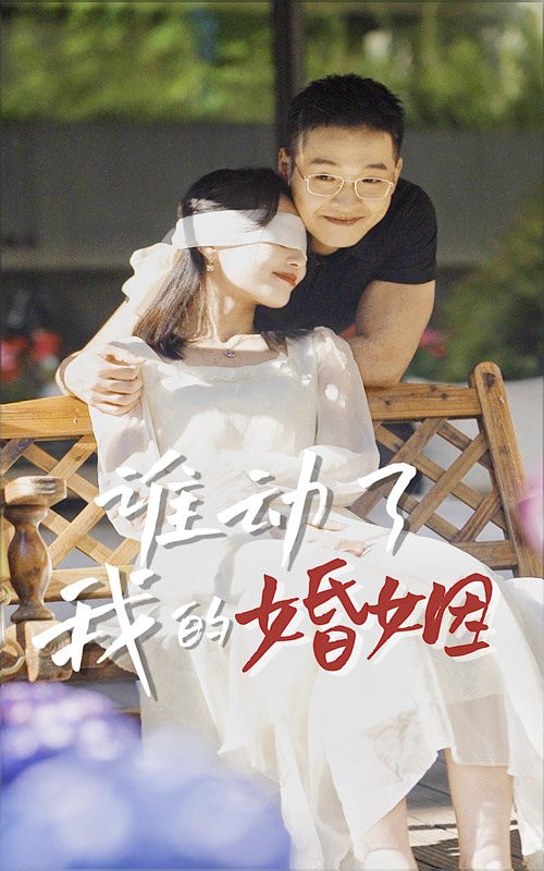 谁动了我的婚姻海报