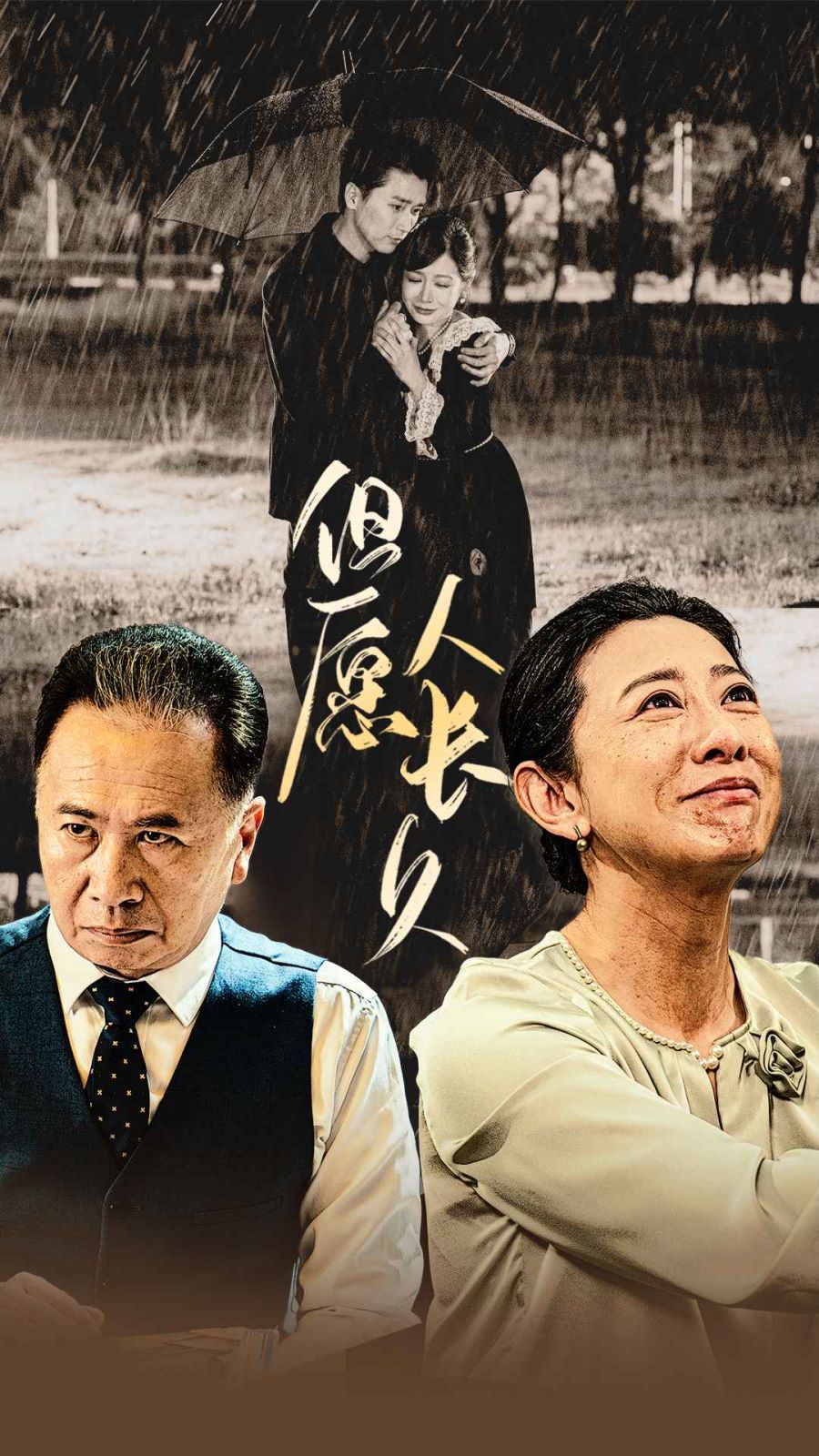 但愿人长久海报