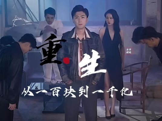 重生后从一百块到一千亿海报
