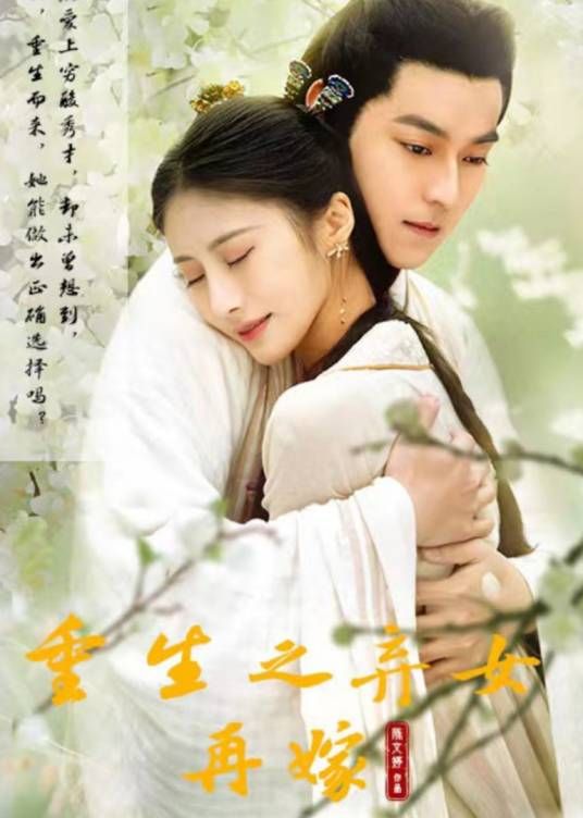 重生之弃女再嫁海报