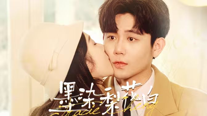 墨染梨花白海报