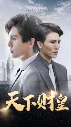 天下财皇海报