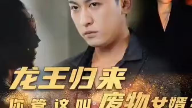 龙王归来你管这叫废物女婿海报