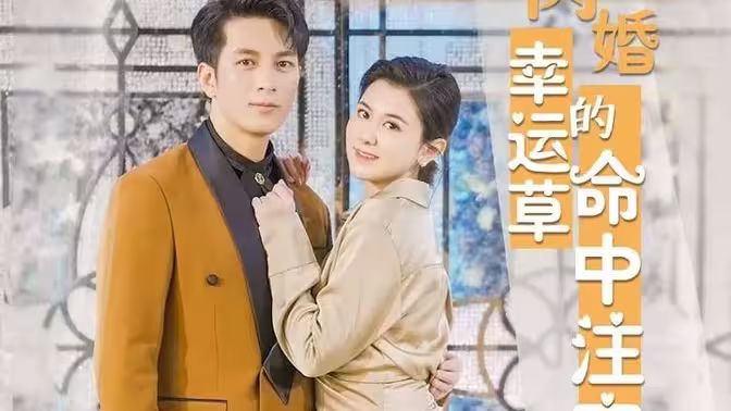 闪婚幸运草的命中注定海报
