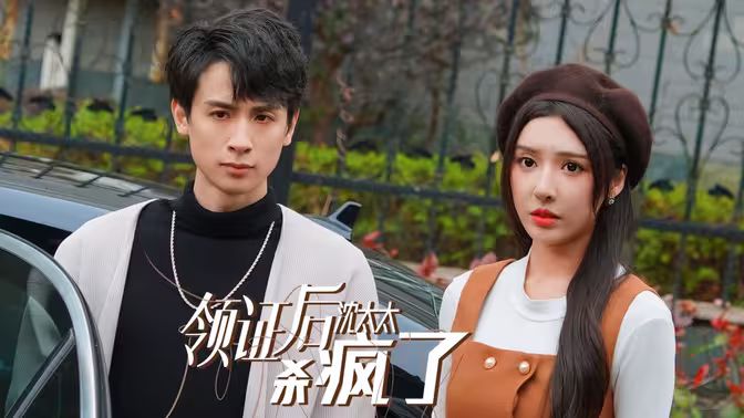 领证后沈太太杀疯了海报
