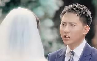 逆袭刘公子归来海报