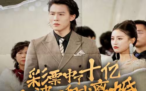 彩票中了十亿老婆要和我离婚海报