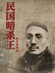 民国暗杀王海报