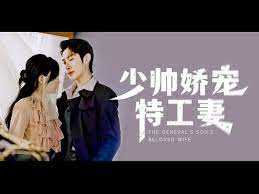 少帅娇宠特工妻海报