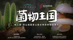 菌物王国海报