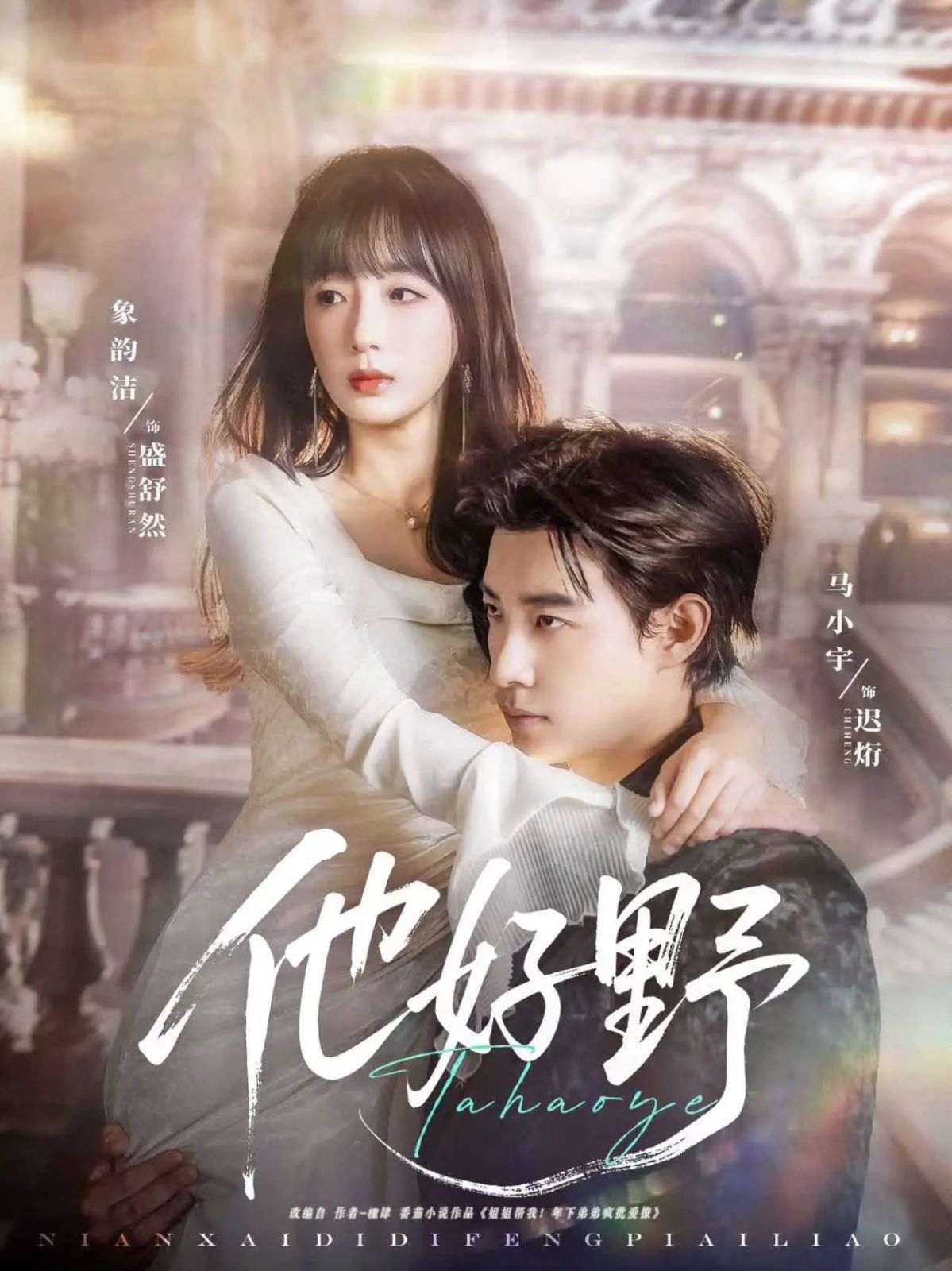 他好野海报