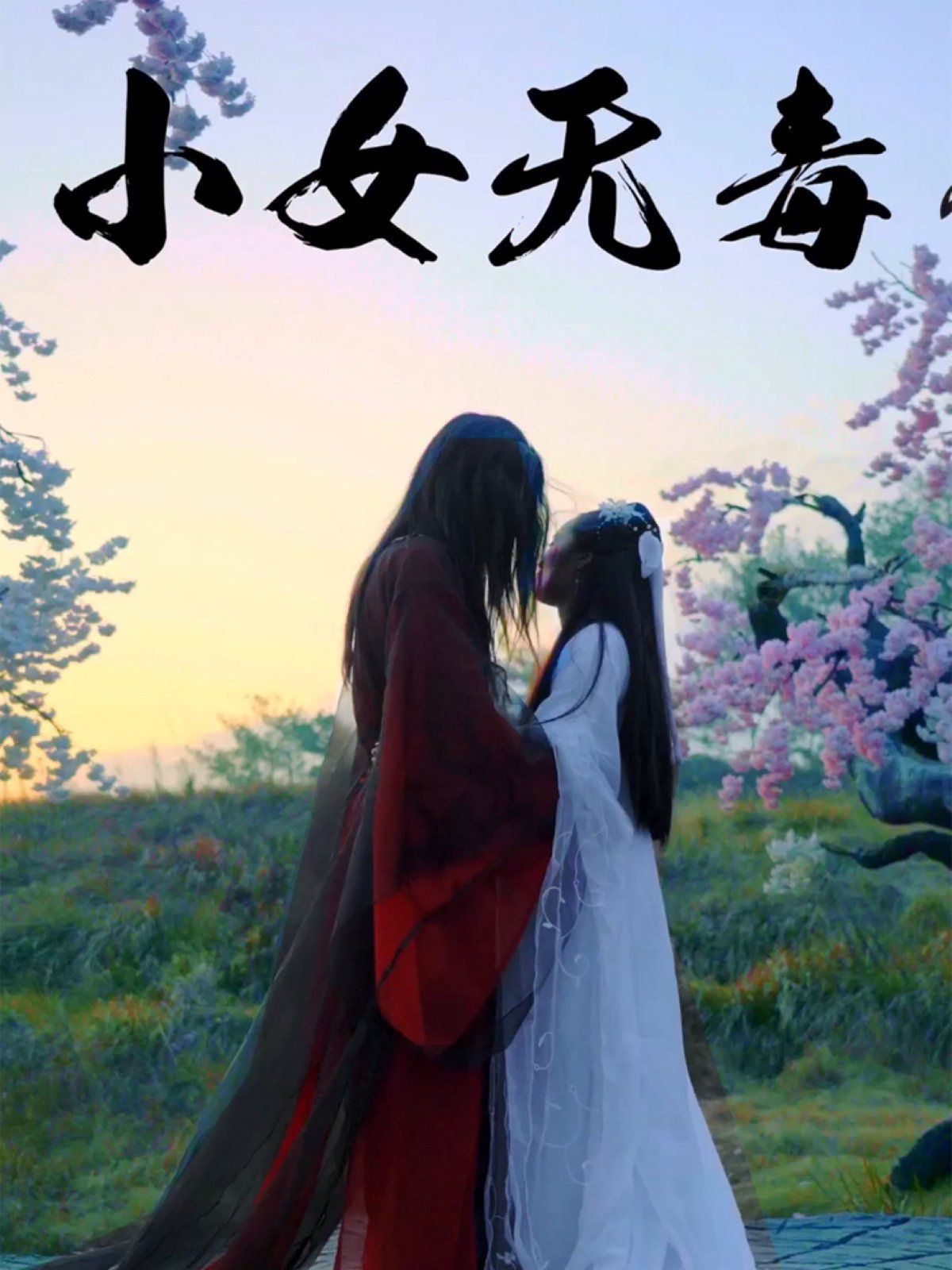 小女无毒海报
