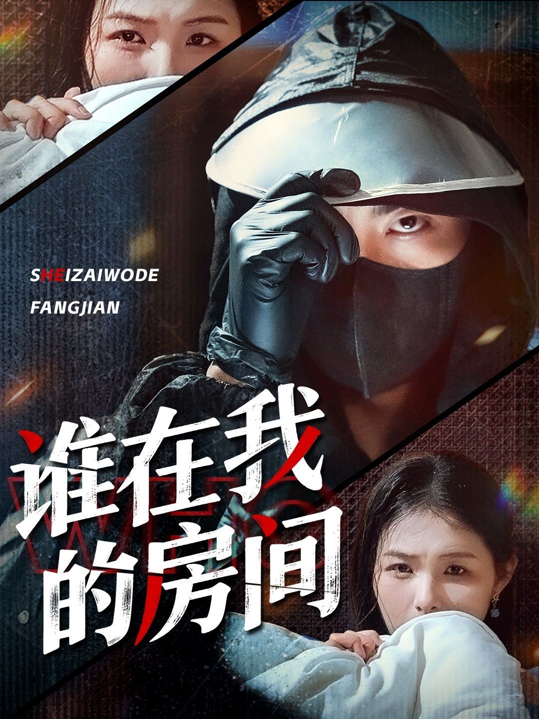 谁在我的房间海报
