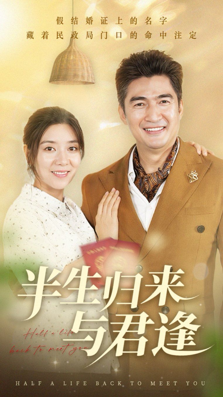 半生归来与君逢海报