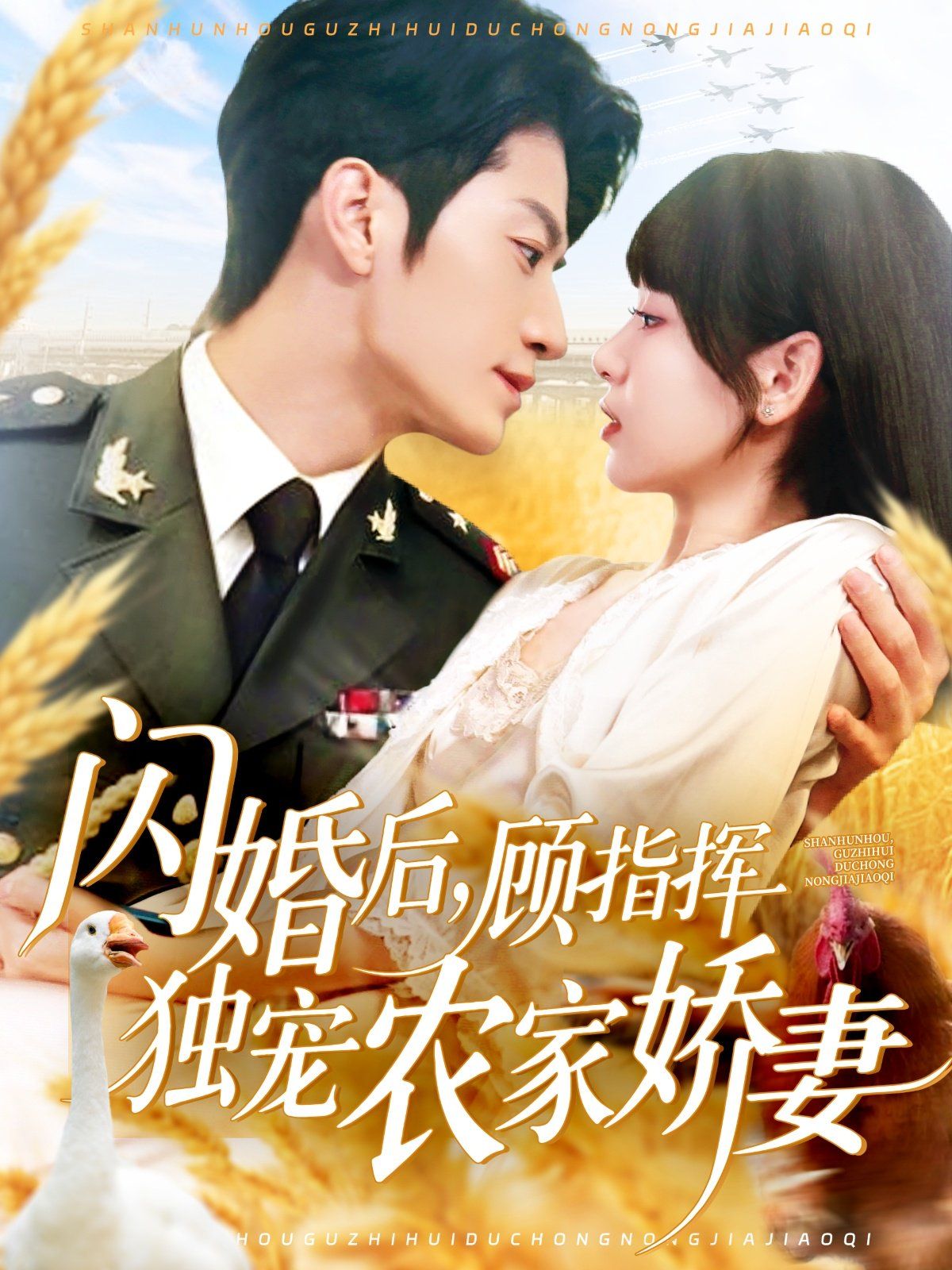 闪婚后顾指挥独宠农家娇妻海报