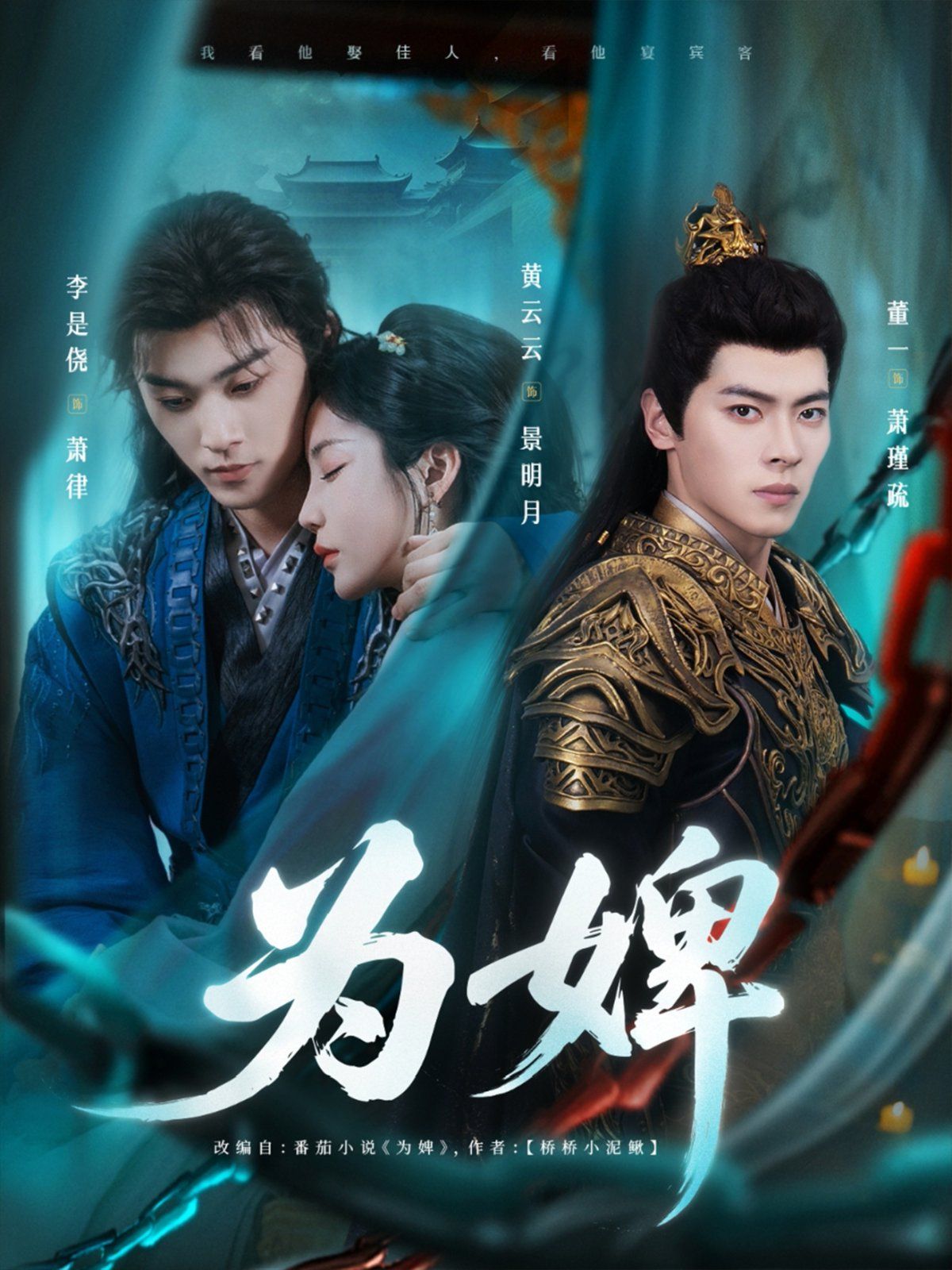 为婢海报