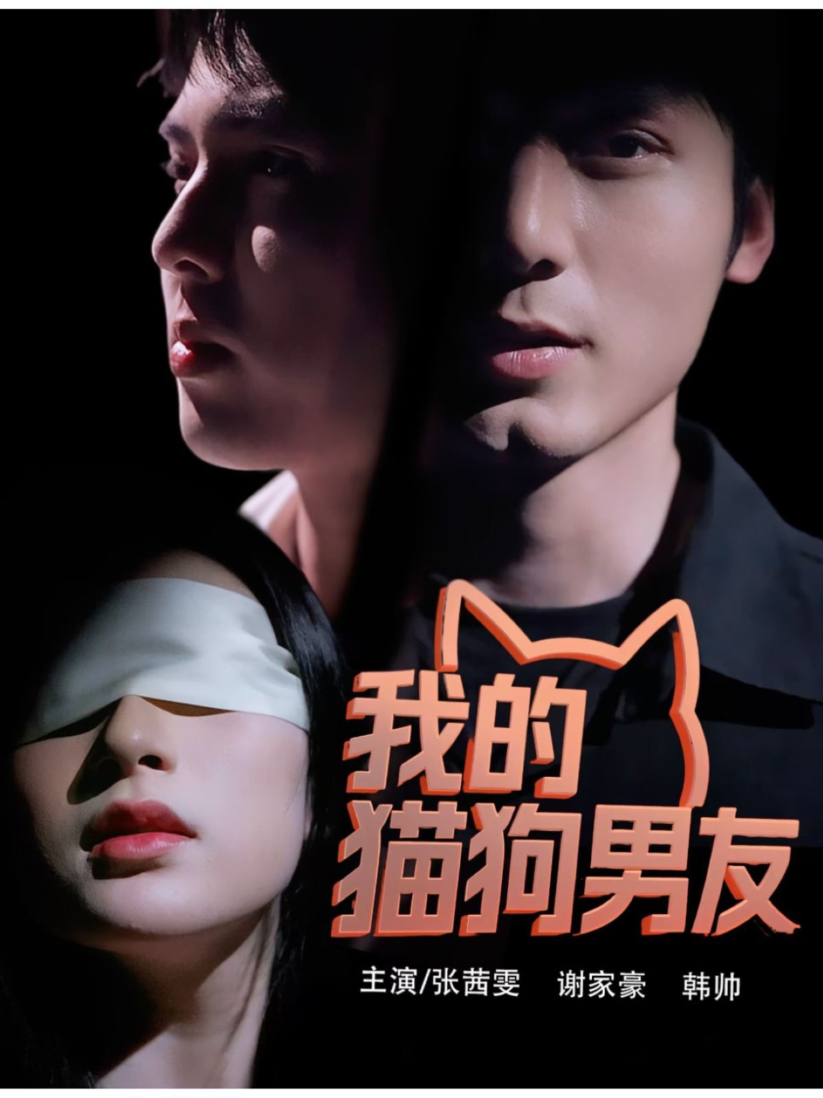 我的猫狗男友海报