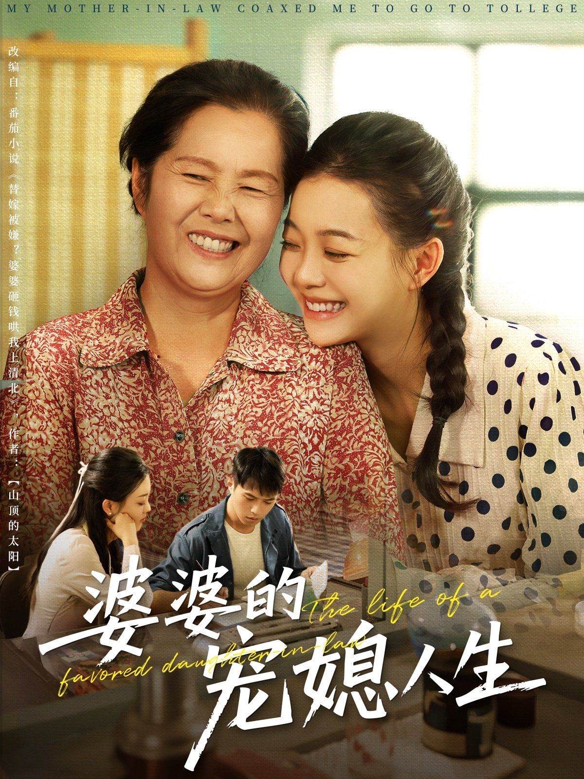 婆婆的宠媳人生海报