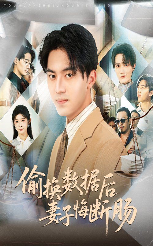 偷换数据后妻子悔断肠海报