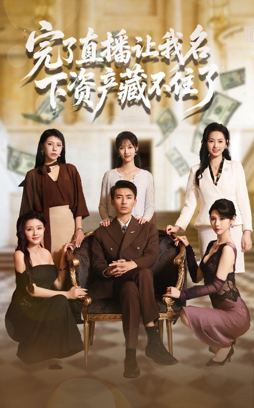 完了直播让我名下资产藏不住了海报