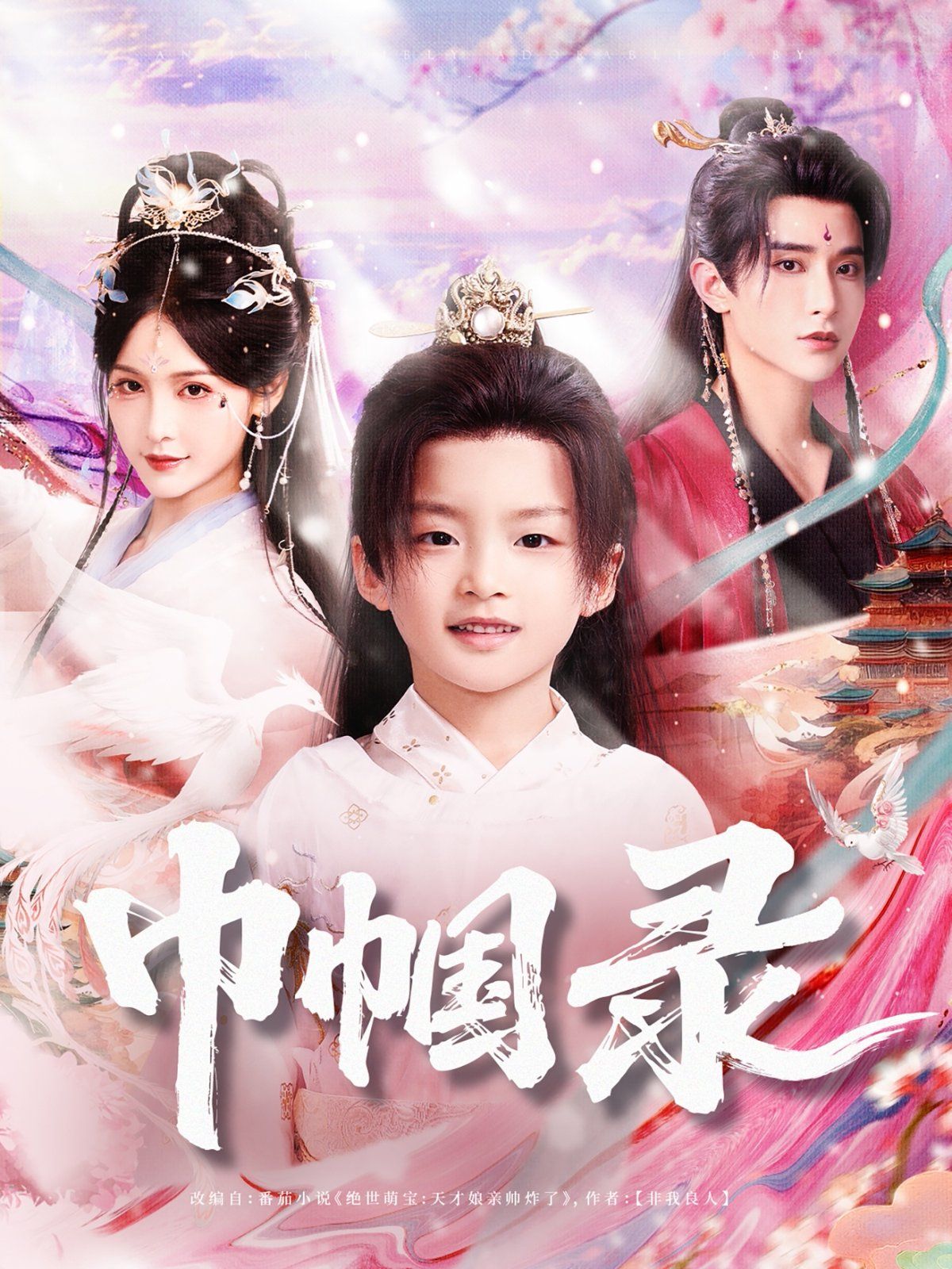巾帼录海报
