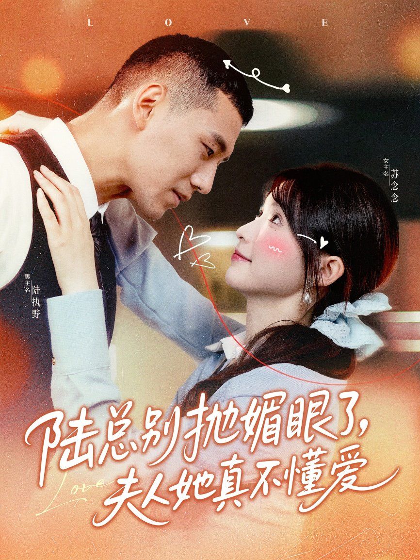 陆总别抛媚眼了夫人她真不懂爱海报