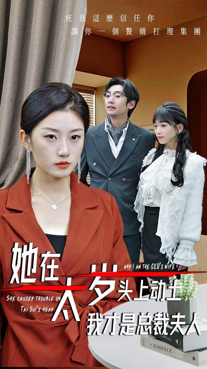 她在太岁头上动土我才是总裁夫人海报