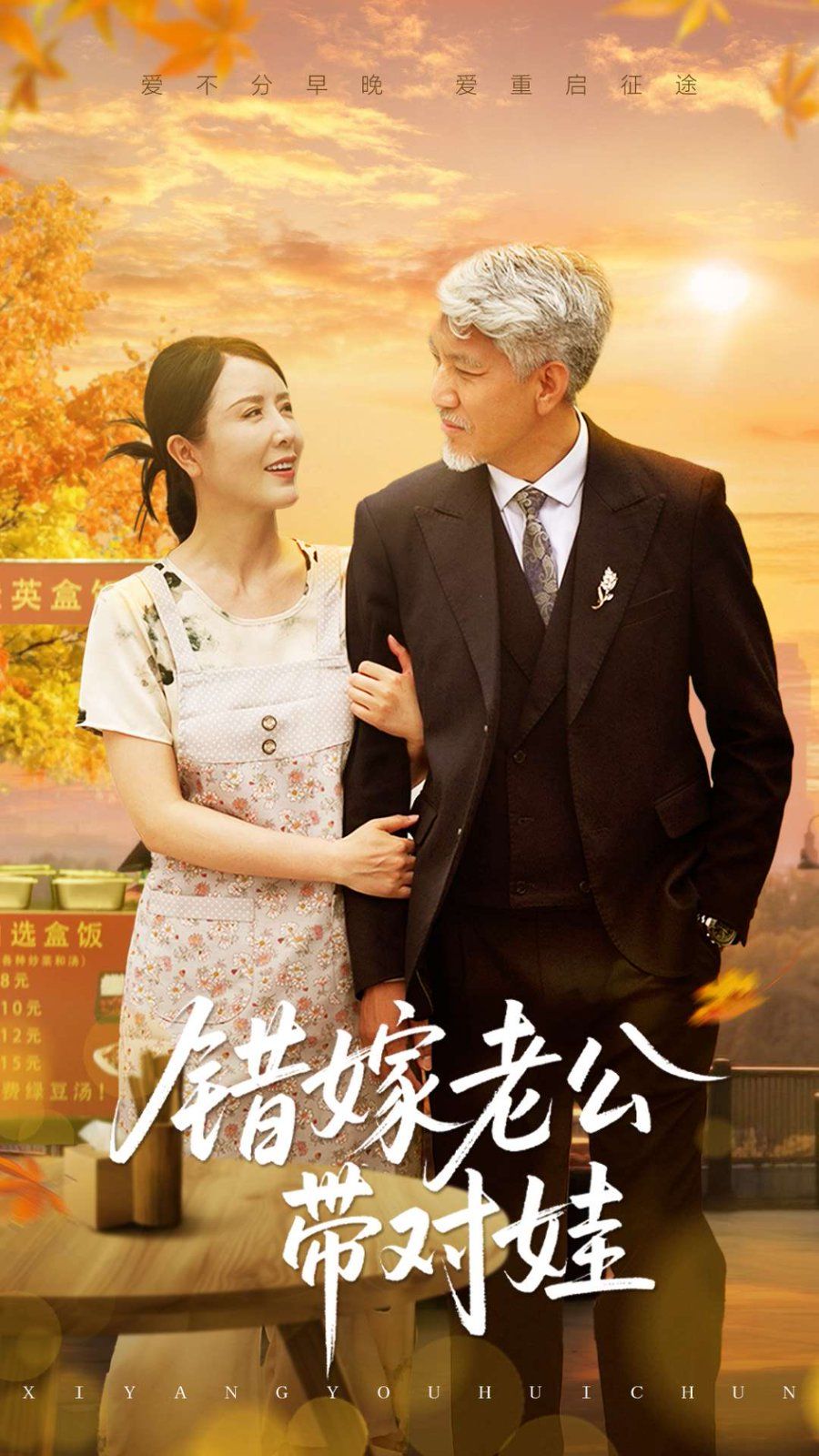 错嫁老公带对娃海报