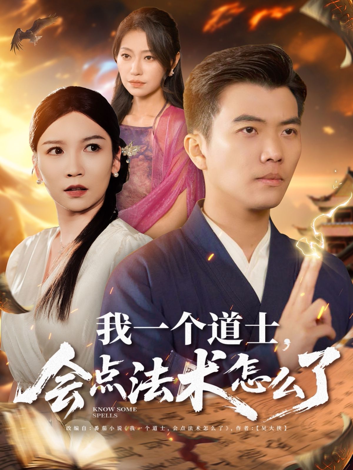 我一个道士会点法术怎么了海报