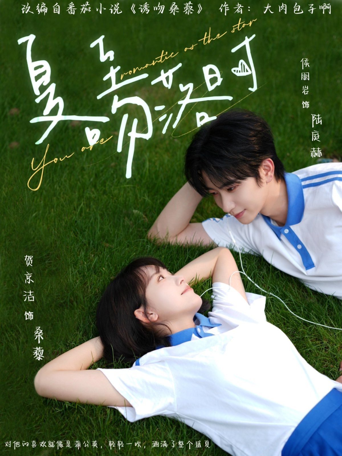 夏至吻落时海报