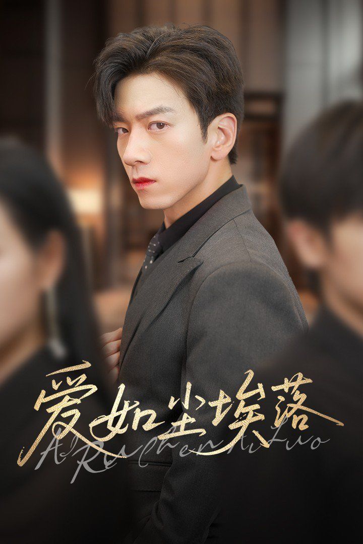 爱如尘埃落海报