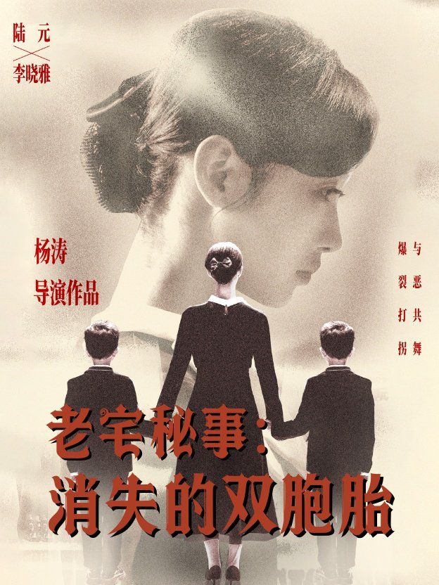 老宅秘事消失的双胞胎（消失的孩子）海报