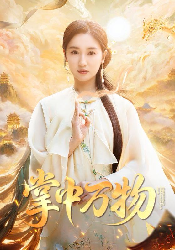 掌中万物海报