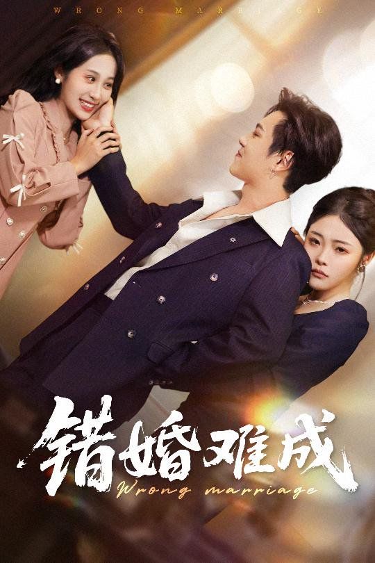错婚难成海报