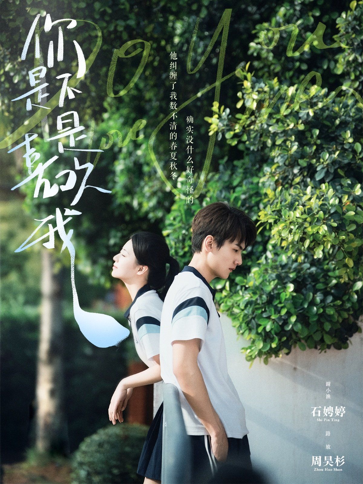 你是不是喜欢我海报
