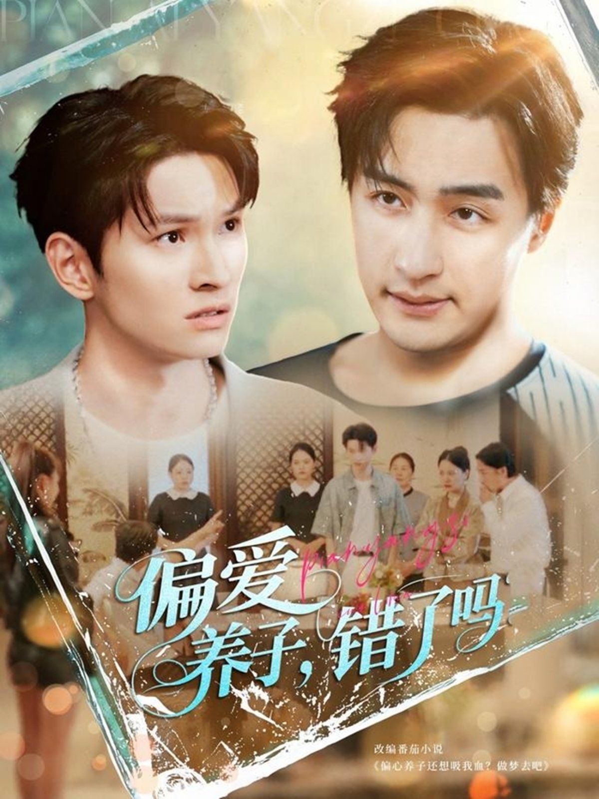 偏爱养子错了吗海报