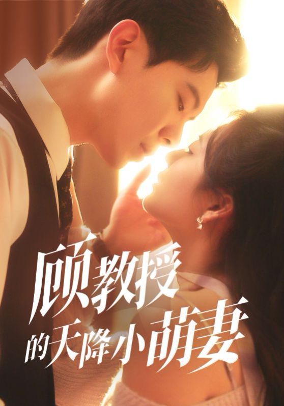 顾教授的天降小萌妻海报