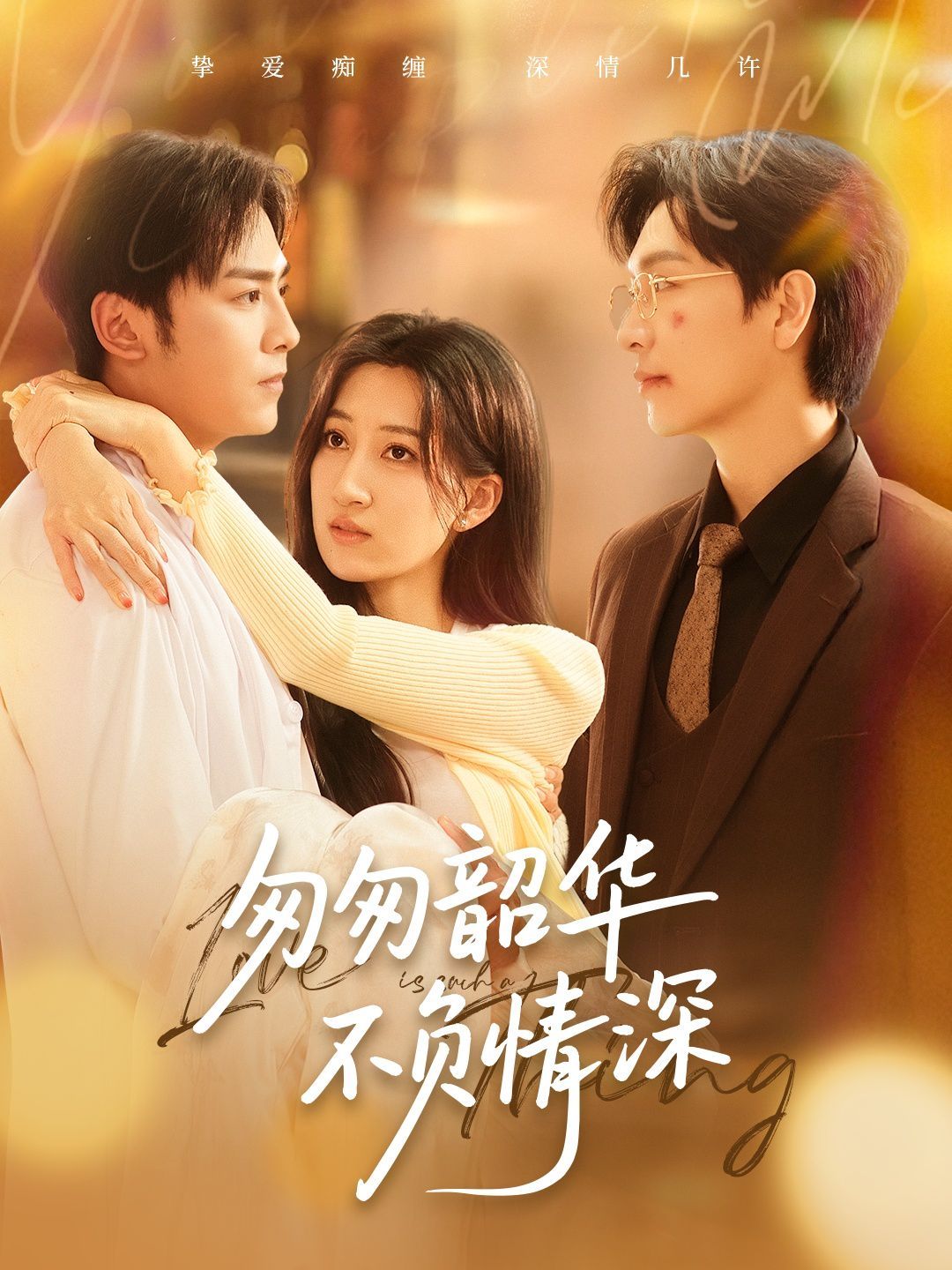 匆匆韶华不负情深海报