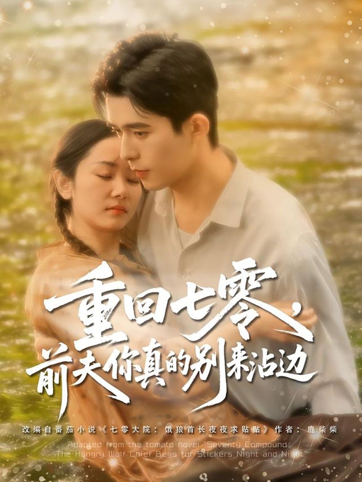 重回七零前夫你真的别来沾边海报