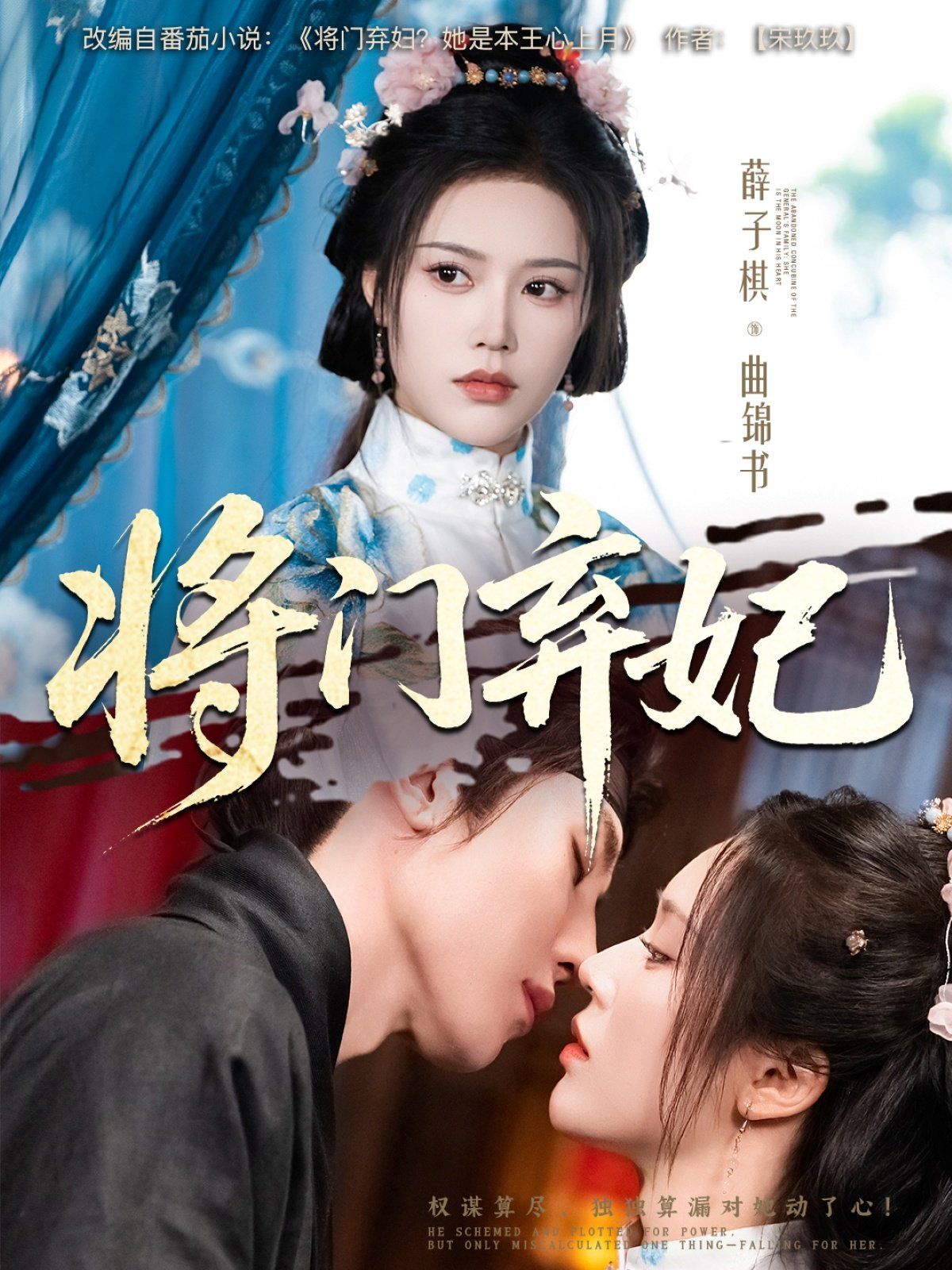 将门弃妃海报
