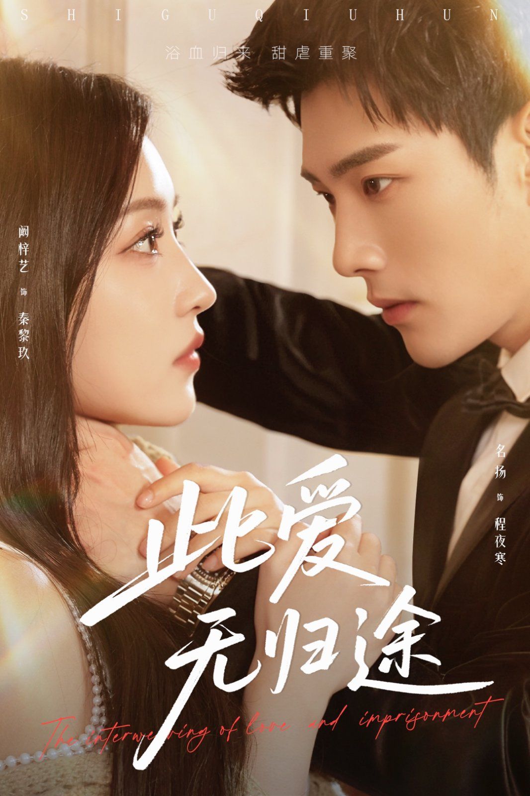 蚀骨囚婚海报