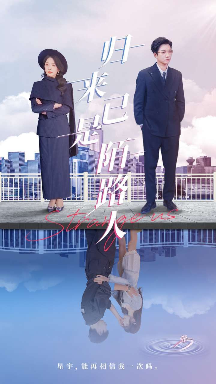归来已是陌路人海报