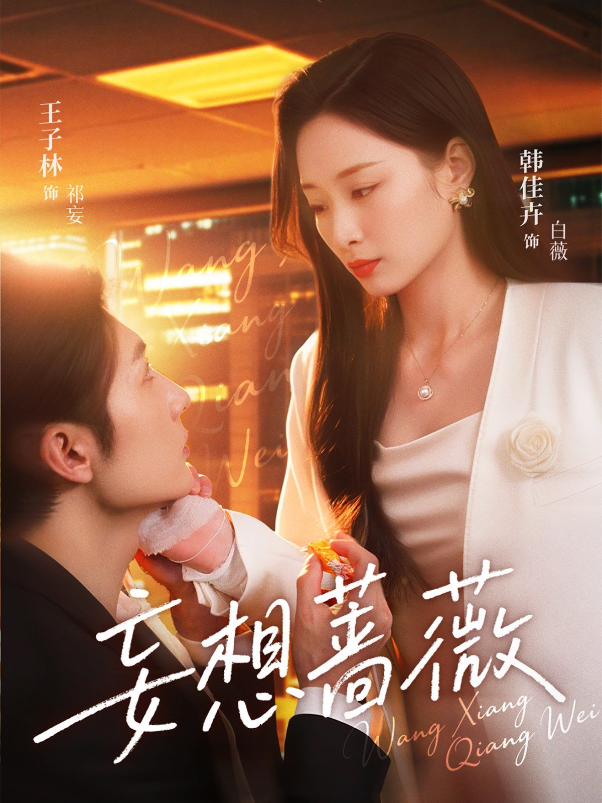 妄想蔷薇海报