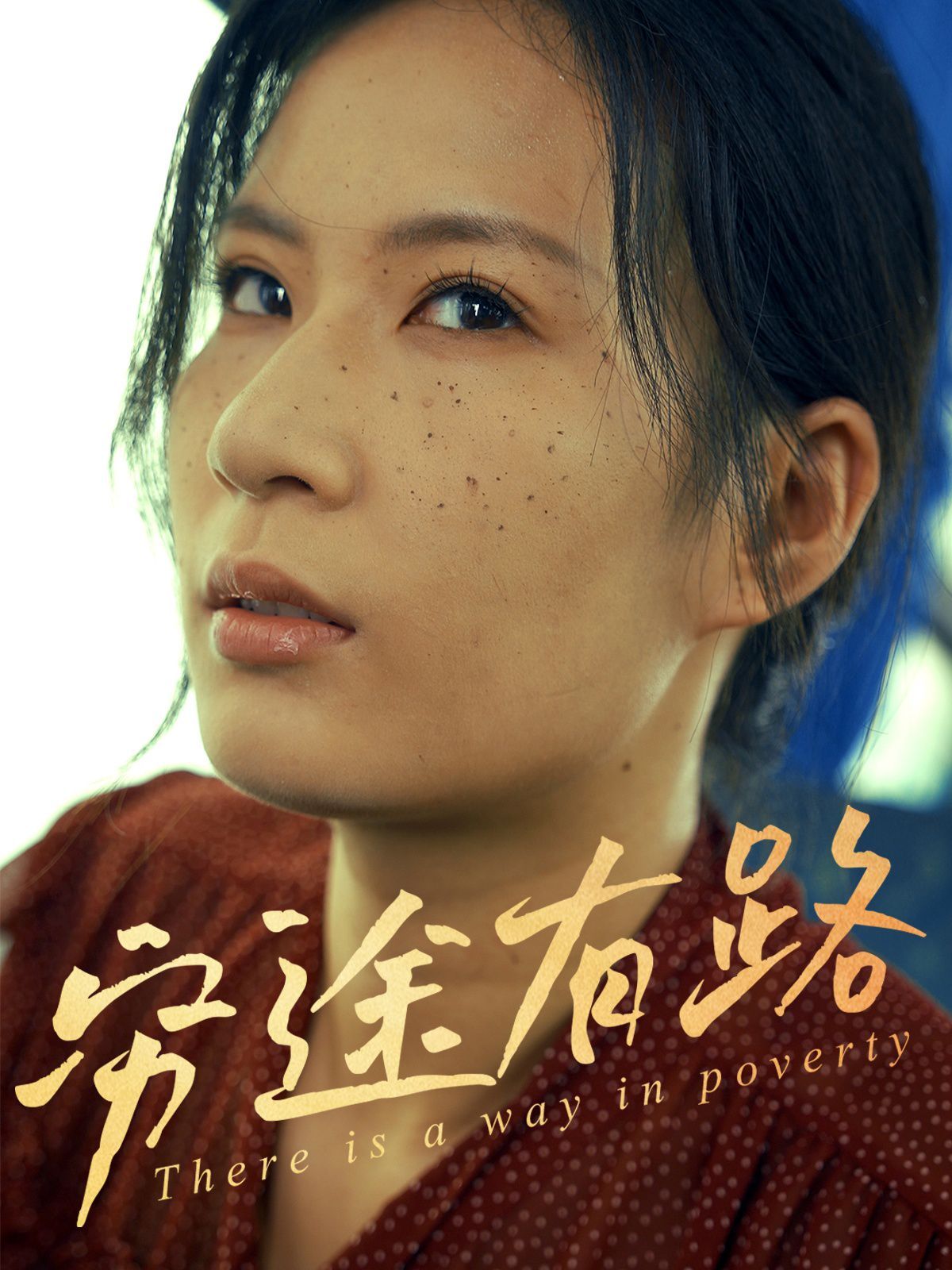 穷途有路海报