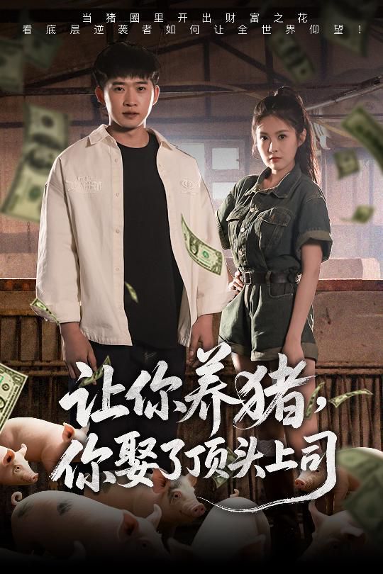 让你养猪你娶了顶头上司海报
